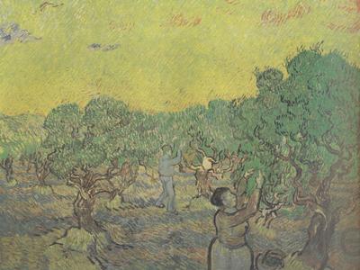 Vincent Van Gogh Olive Grove with Picking Figures (nn04) Spain oil painting art